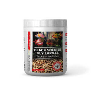 Dried Black Soldier Fly Larvae Food for Fishes