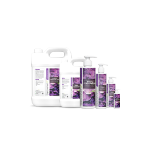 Purple Coralline GRO