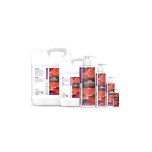 Reef Carbonate