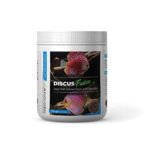 Discus Fusion IV