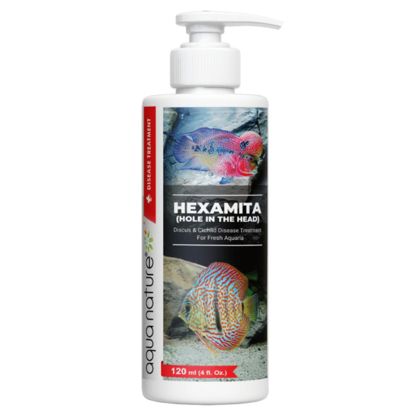 Hexamita