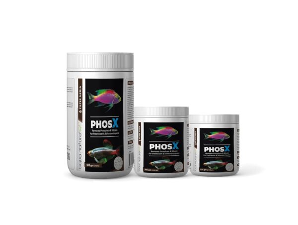 PhosX - Image 2