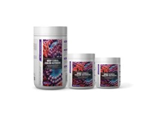 Reef Coral Color Extreme