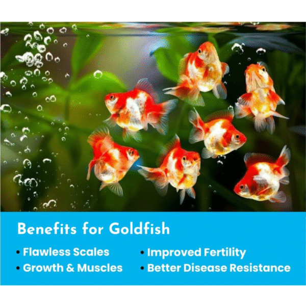 Goldfish Water Conditioner+ Minerals - Image 3