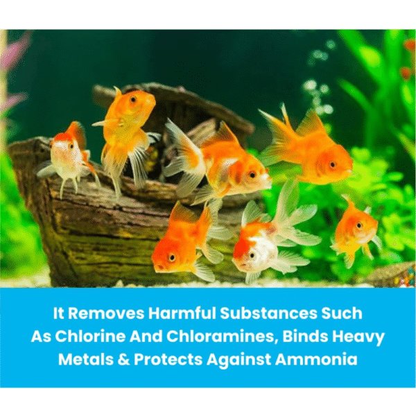 Goldfish Water Conditioner+ Minerals - Image 4