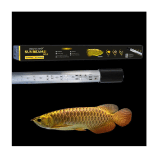 SUNBEAM Gold (Glow Fish + Tanning)