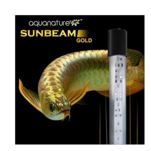 SUNBEAM Gold (Glow Fish + Tanning)