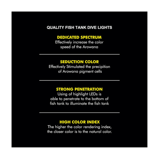 SUNBEAM Gold (Glow Fish + Tanning) - Image 6