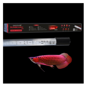 SUNBEAM Red (Glow Fish / Tanning)