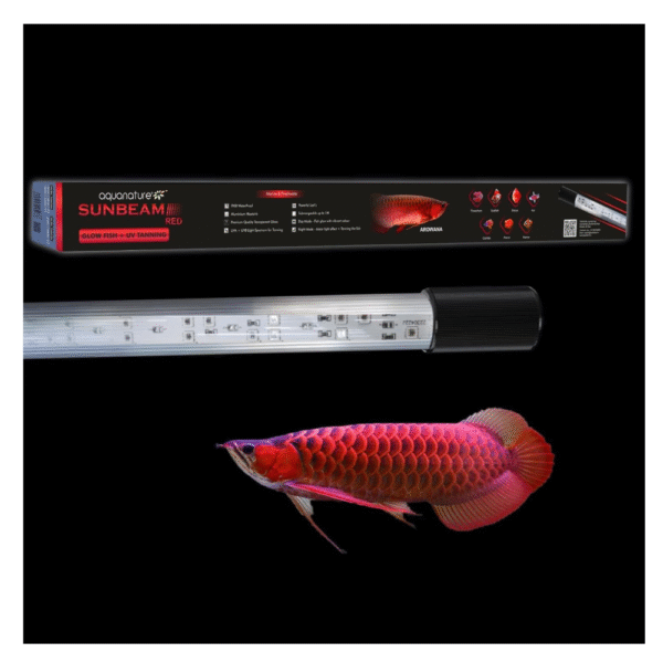 SUNBEAM Red (Glow Fish / Tanning)