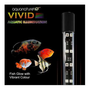 VIVID (Aquatic Illumination)