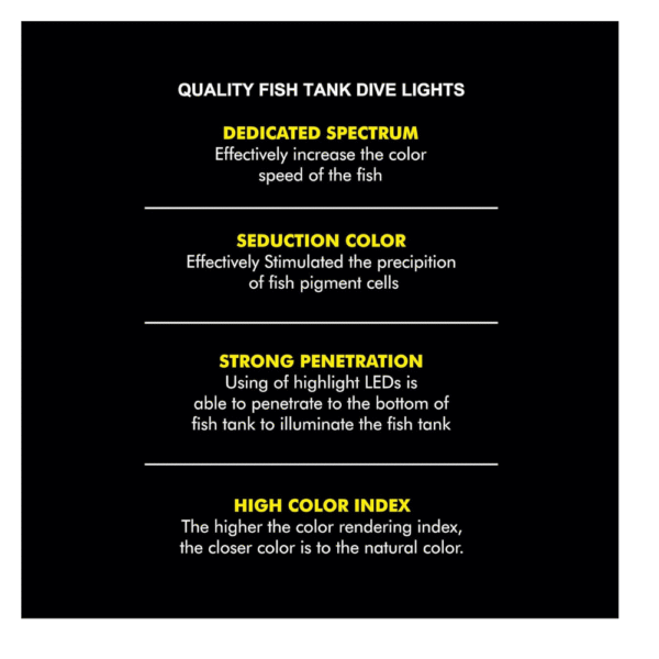 VIVID (Aquatic Illumination) - Image 5