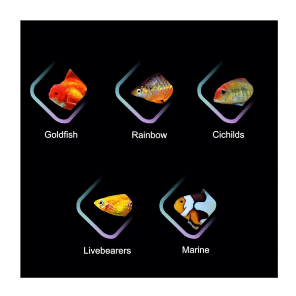 GLEAM Multi-Colour (Aquatic Illumination) - Image 6