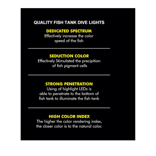 GLEAM Multi-Colour (Aquatic Illumination) - Image 3
